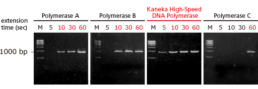 Fig.1 PCR using λDNA as a template DNA