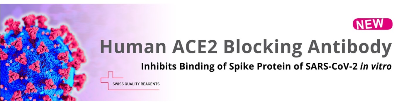 ACE2中和抗体（Human ACE2 Blocking Antibody）