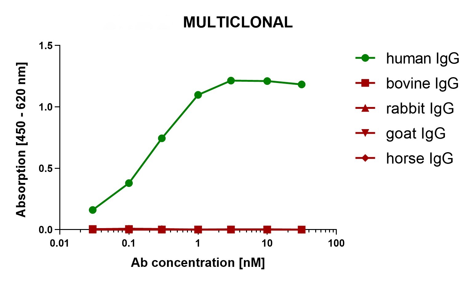 異なる動物種由来の固層化IgG分子へのMULTICLONALS抗体の結合