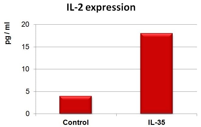 Mouse IL-35 Proteinの使用例