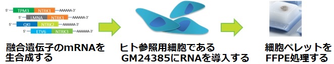 Fusion RNA FFPE Reference Materialの製造法