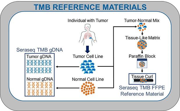 TMB-Reference-Materialの製造方法