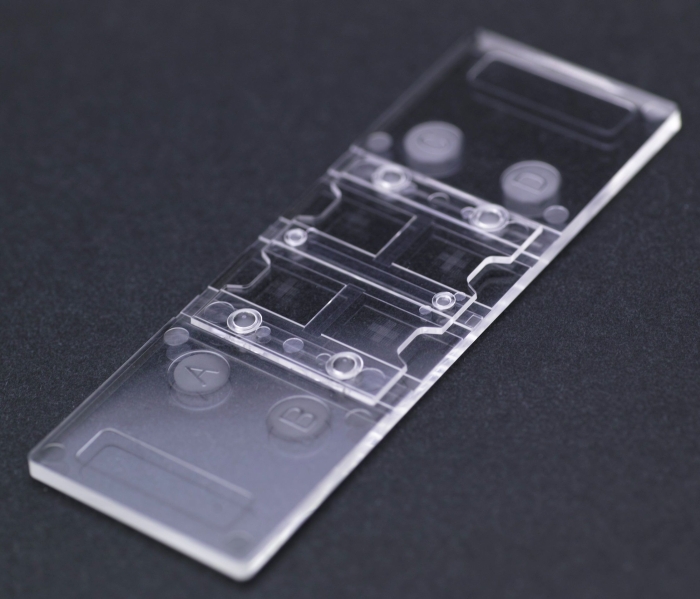 ディスポーザブルの簡易型細胞計算盤「Disposable Hemocytometer」