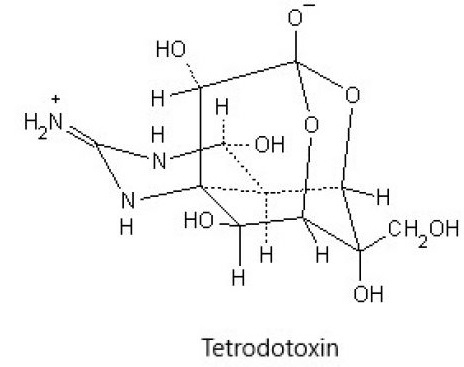 Tetrodotoxin citrate-freeの構造式