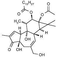 Phorbol 12-Myristate 13-Acetate