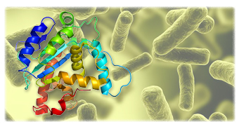 LS Bio (LifeSpan Biosciences社)組換えタンパク質