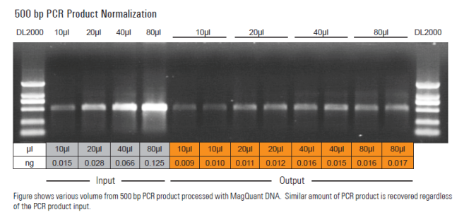 DNAノーマライゼーションキット MagQuant DNA Kitの使用例