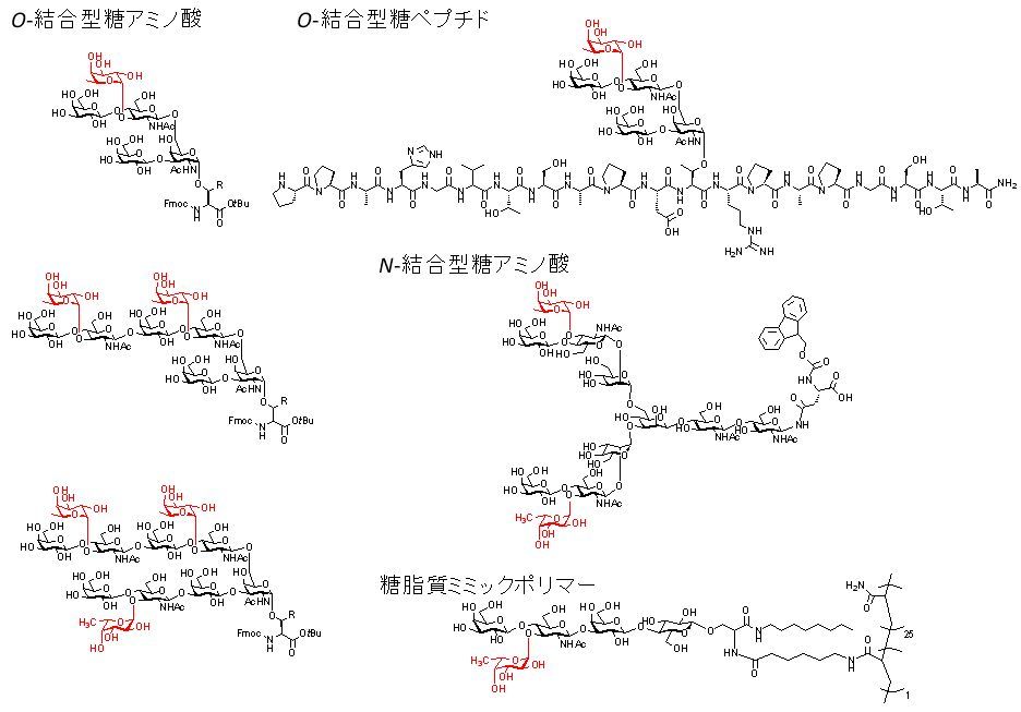 α1,3-フコース転移酵素の使用例