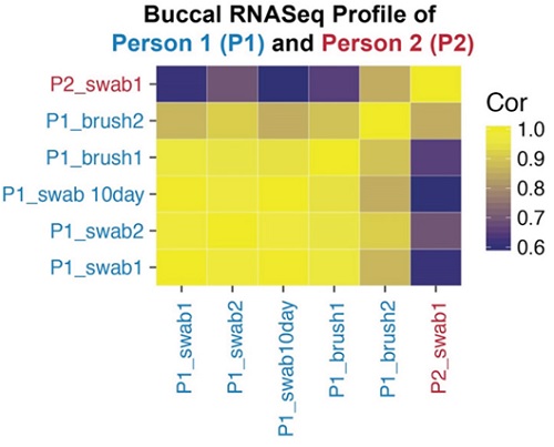 iSWABRNA_collection_kitを用いて採取したヒト口腔細胞のRNAseqデータ解析結果