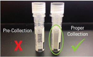 Comparison_iSWAB_vials_before_and_after_collection