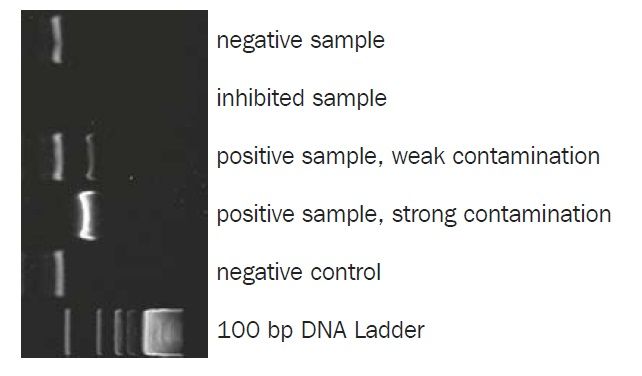 バクテリアのコンタミネーション検出キットOnar Bacteria Detection Kit