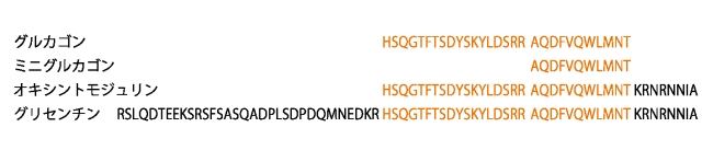 図2. グルカゴンと類縁ペプチドのアミノ酸配列の比較