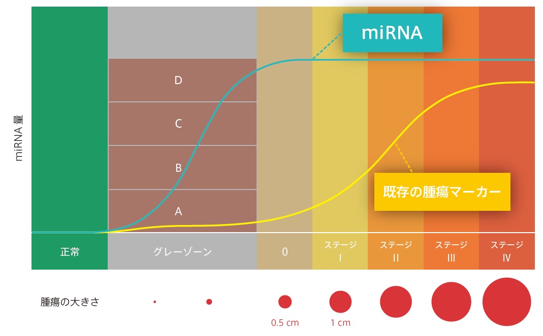 腫瘍の大きさとmiRNA量の関係
