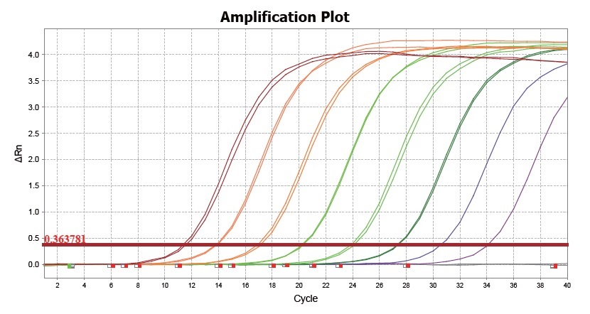 BlitzAmp cDNA Synthesis Systemのダイナミックレンジ