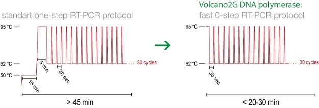定量PCR用逆転写酵素／DNAポリメラーゼ活性を併せ持つ改変型ポリメラーゼのアプリケーション例