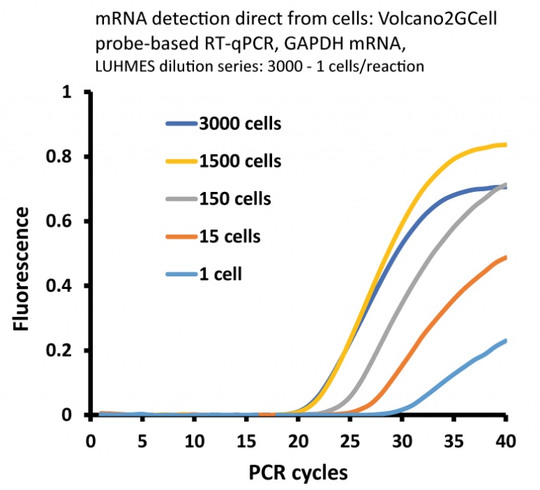 Volcano2G Cell 2x RT-PCR Master Mixの使用例1