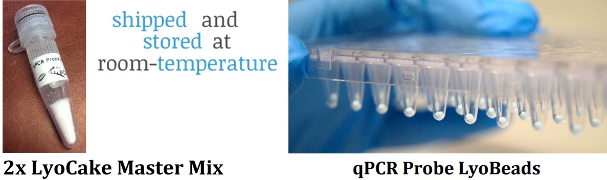 凍結乾燥された定量PCR用ミックス