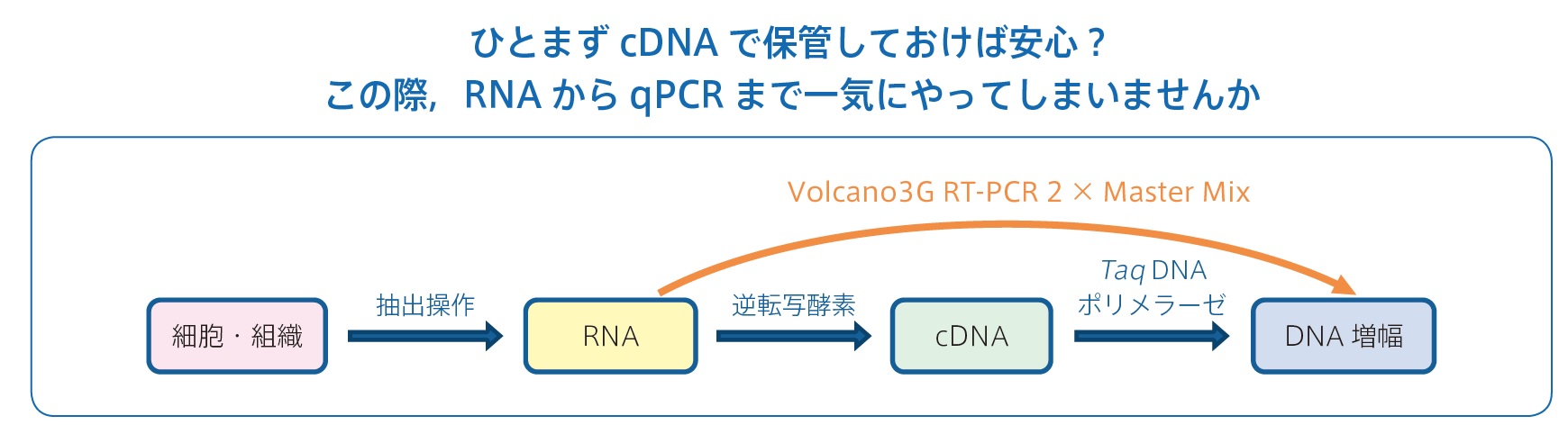 定量PCRマスターミックス