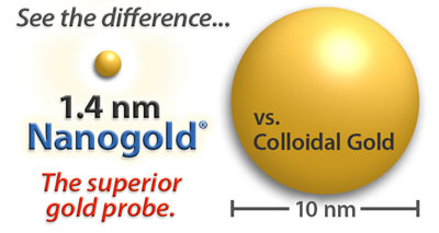 Nanogold-Antibody and Streptavidin Conjugates
