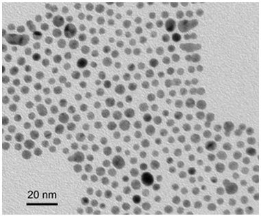 官能基化された金ナノ粒子 Gold Nanoparticles