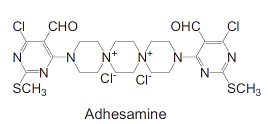 細胞接着を促進する低分子化合物 アドヘサミン（Adhesamine）構造図