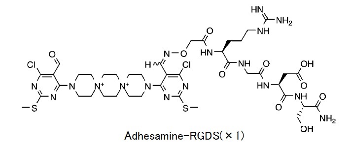 Adhesamine-RGDS(x1)構造図