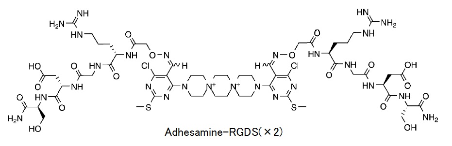 Adhesamine-RGDS(x2)構造図