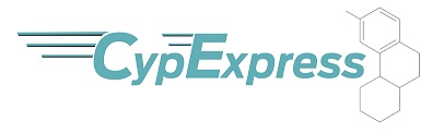 代謝産物の同定・産生に有用なCYP・P450 CypExpress