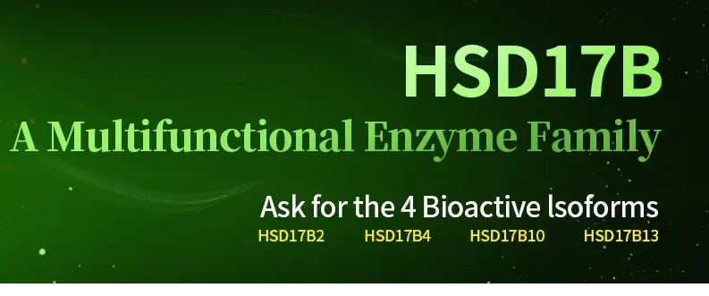 代謝酵素HSD17Bのロゴ