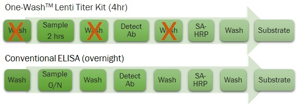 One-Wash Lentivirus Titer Kit, p24 ELISAと従来法の操作工程の比較