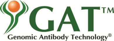 OriGene社GAT抗体(GAT antibody)