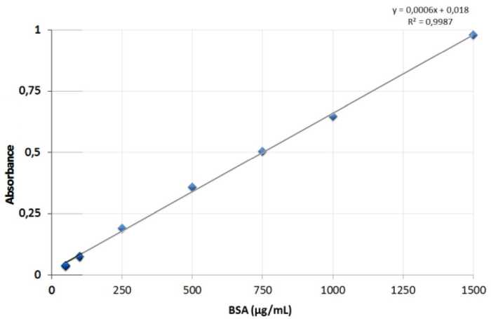 BCA Protein Assay Kit検量線
