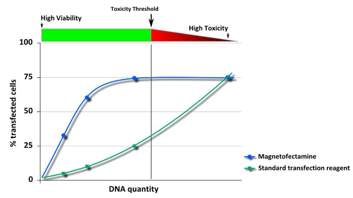 DNA量と導入効率