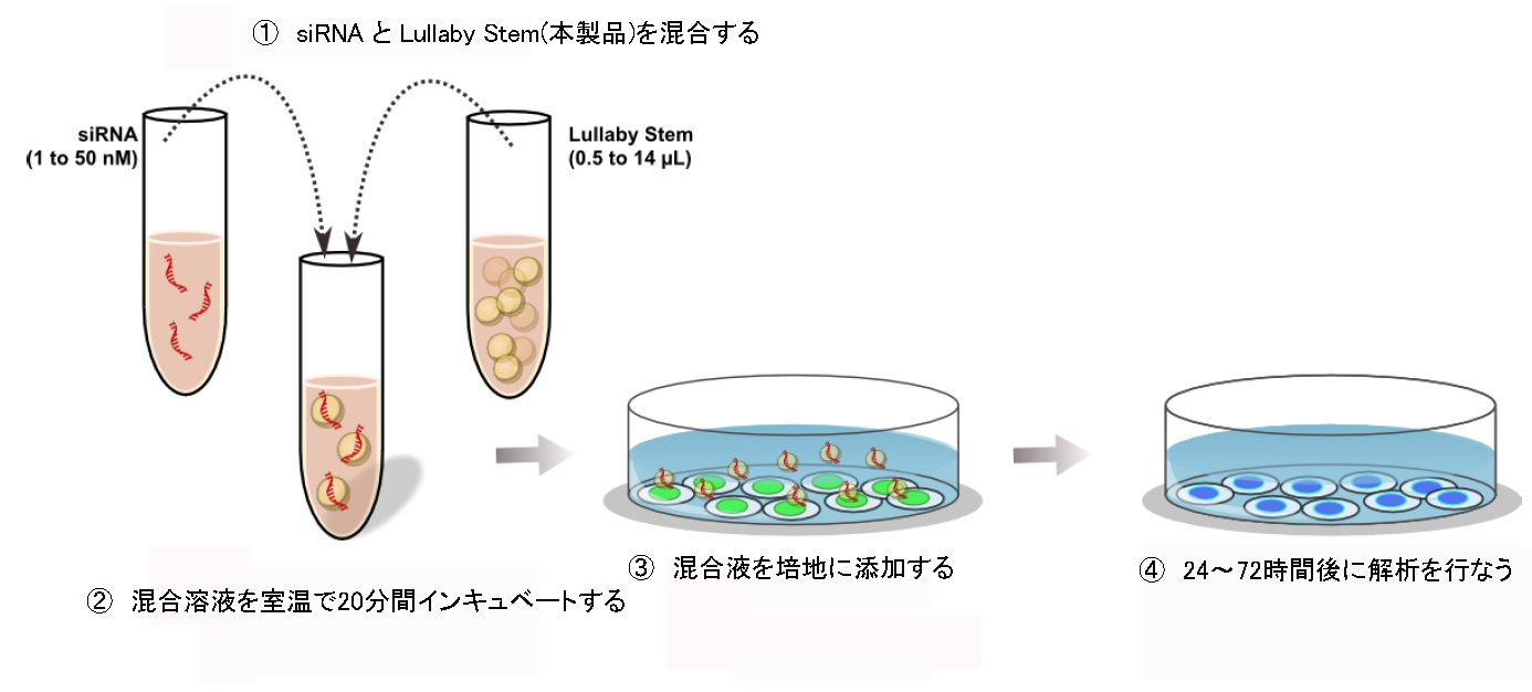 多能性幹細胞に特化したトランスフェクション試薬 Lullay Fect Stem