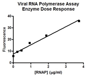 RNAポリメラーゼ添加量変化