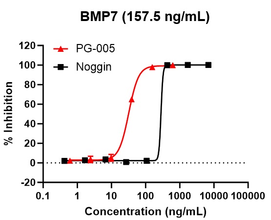 PG-005によるBMP7阻害