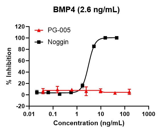 PG-005によるBMP4阻害