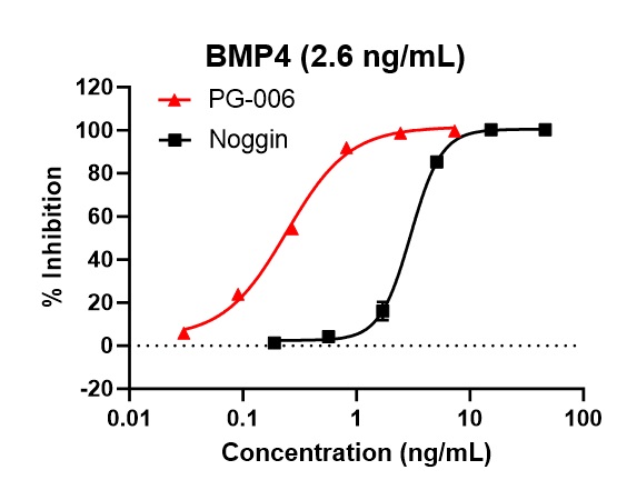 PG-006によるBMP4阻害