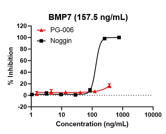 PG-006によるBMP7阻害