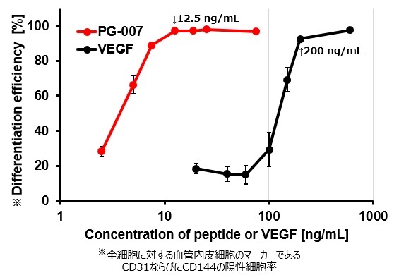 VEGF代替ペプチドの血管内皮細胞への分化誘導誘導効率