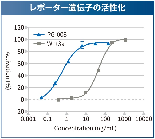 Wnt3a代替ペプチドのβ-カテニン経路活性化能