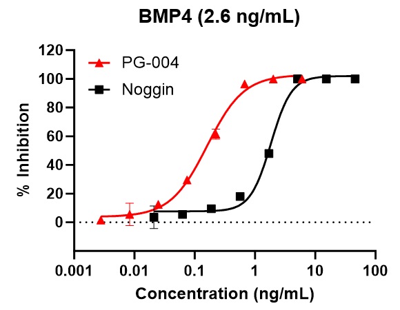 PG-004によるBMP4阻害