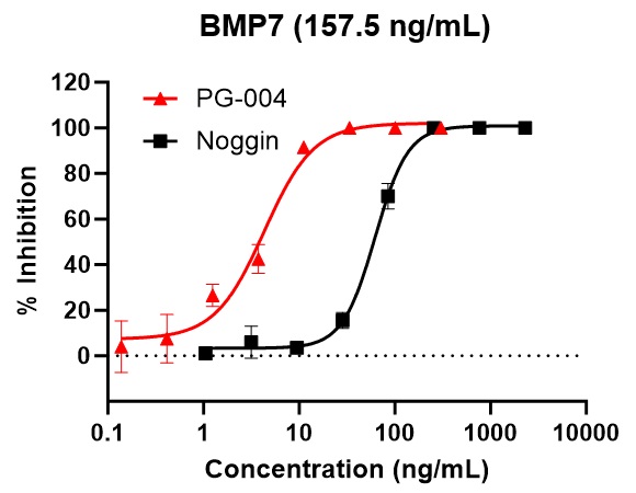 PG-004によるBMP7阻害