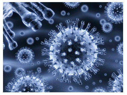 C型肝炎ウイルス（HCV）のイメージ