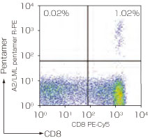 抗原特異的CD8陽性キラーT細胞検出「Pro5 MHC Class ⅠPentamer」の染色図1