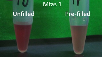 赤血球除去Mfas1