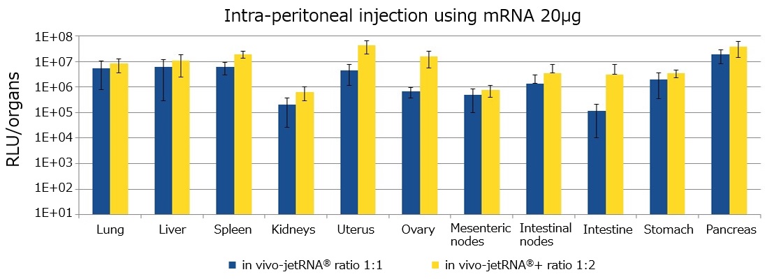 in vivo-jetRNA+と旧製品の比較