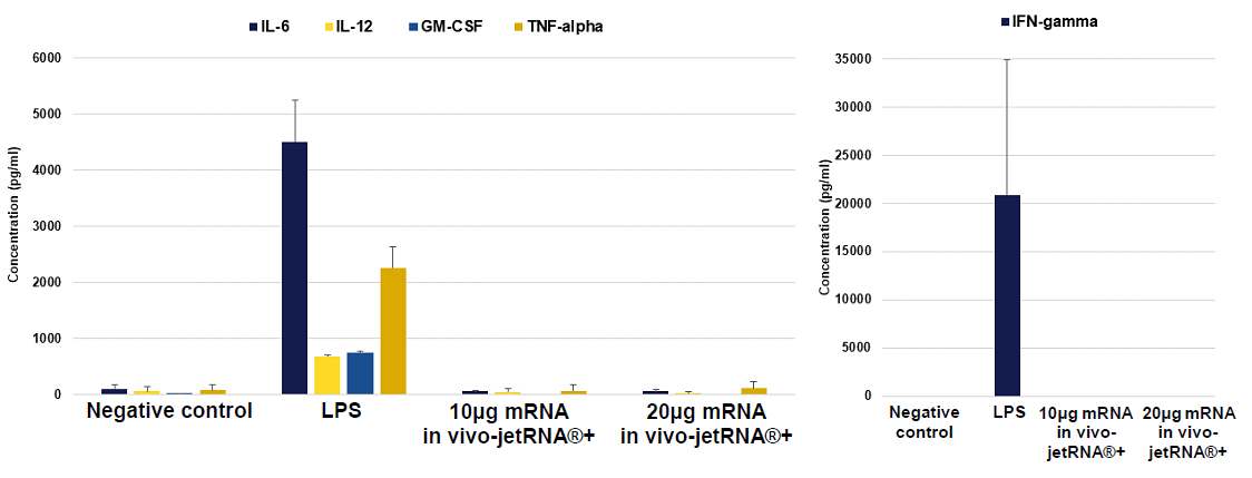 in vivo-jetRNA+を用いてmRNAを導入した実験動物・臓器の健康状態
