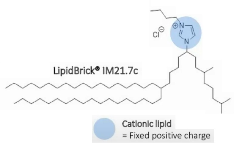 LipidBrick IM21.7c