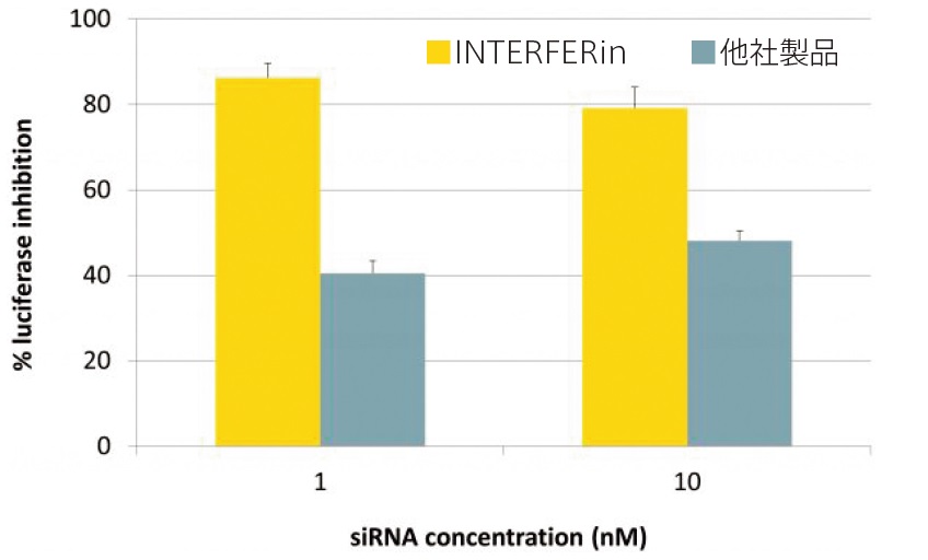 INTERFERinで3LL 細胞にLuc に対するsiRNA を導入